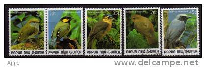 PAPOUASIE. Petits Oiseaux De Papouasie. 5 T-p Oblit. Yv. # 591/5.  Serie Complete - Papúa Nueva Guinea