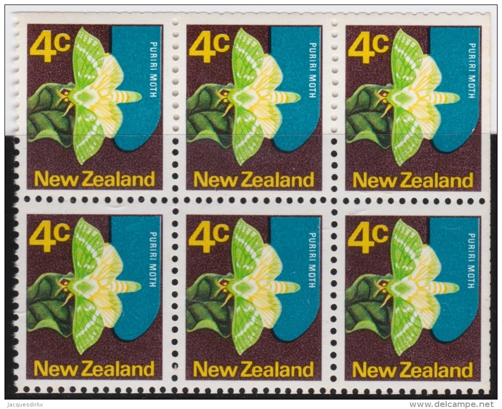 NZ    .     SG   .   6   Stamps       .        **    .         MNH      .   /   .    Postfris - Nuovi