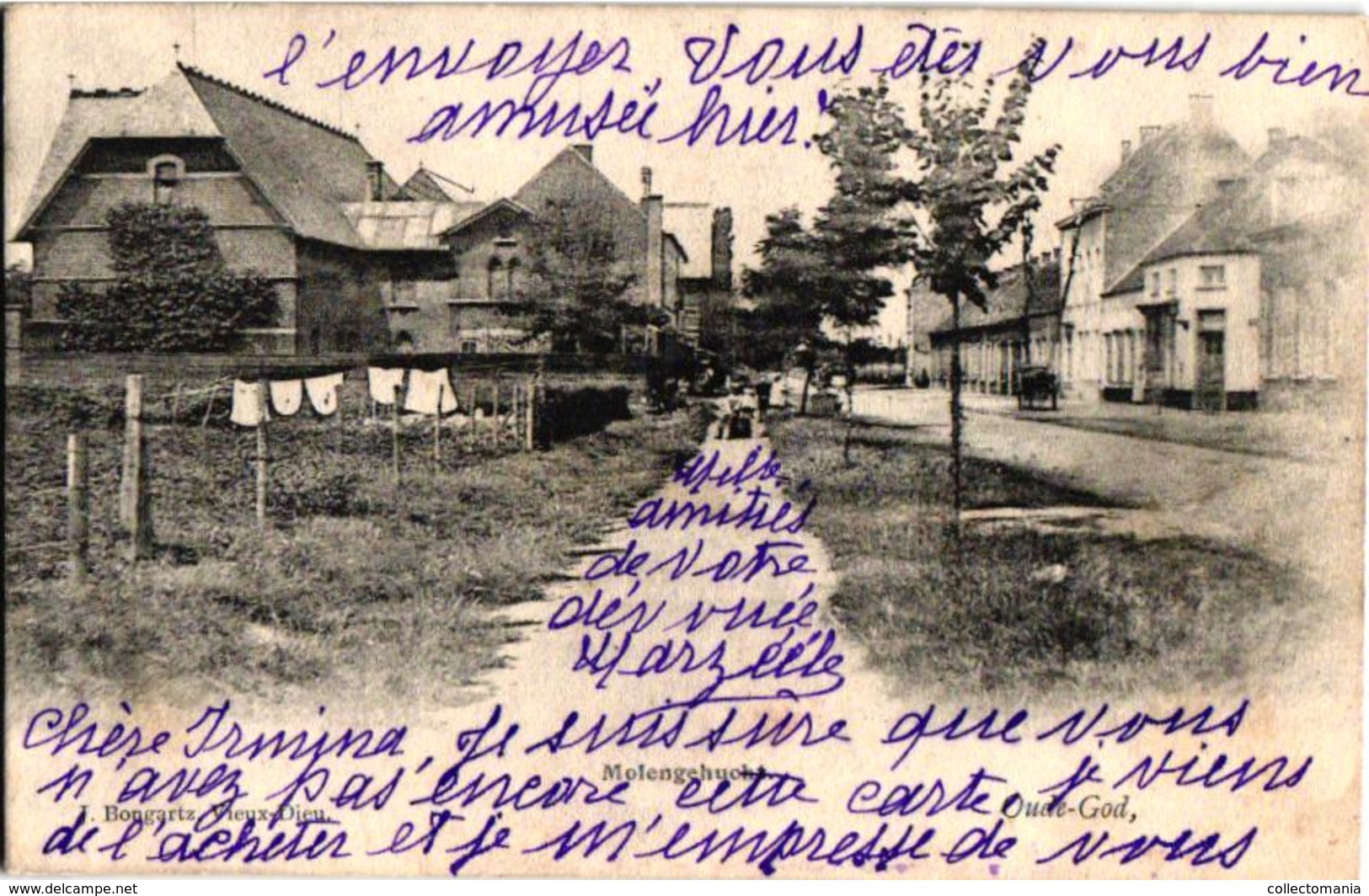 1 Oude Postkaart  MORTSEL   Oude God  Molengehucht  1905  Uitg. Bongartz - Mortsel