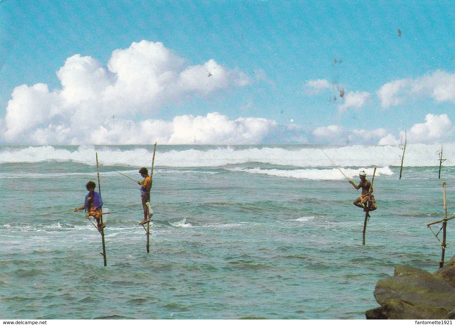 SRI LANKA  STILT FISHING (dil393) - Sri Lanka (Ceylon)