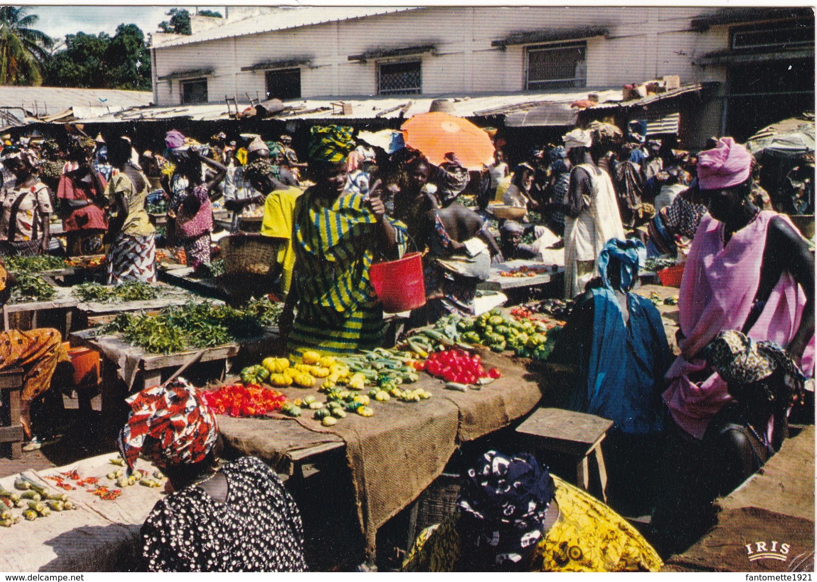 SENEGAL  SCENE DE MARCHE (dil393) - Sénégal