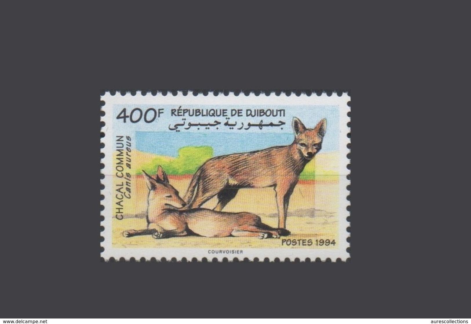 DJIBOUTI 1994 CHACAL COMMUN FAUNA ANIMALS GOLDSCHAKAL YT 719 C 719C Michel Mi 604 MNH ** RARE - Félins