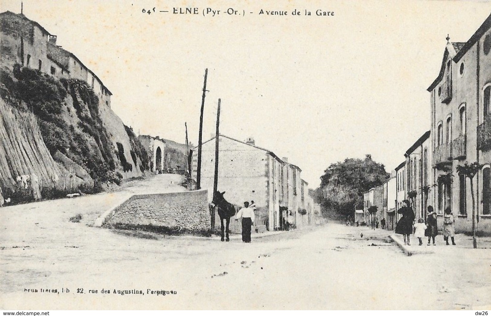 Elne (Pyérénées Orientales) - Avenue De La Gare - Edition Brun Frères, Carte N° 645 Non Circulée - Elne