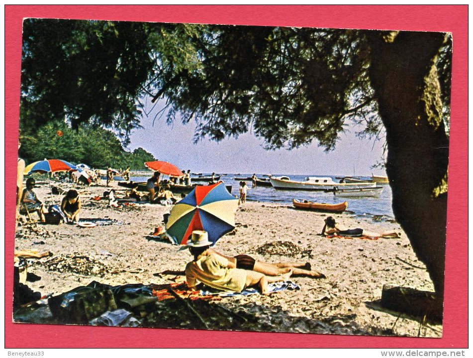 CP (Réf : (C771) 31 - ARÈS (33 GIRONDE) La Plage (animée) - Arès