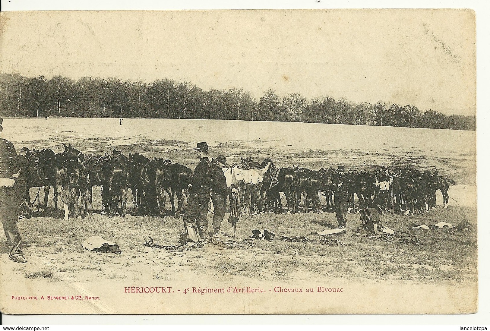 70 - HERICOURT / 4è REGIMENT D'ARTILLERIE - CHEVAUX AU BIVOUAC - Other & Unclassified