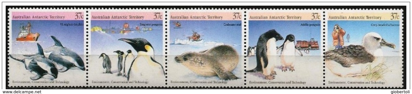 Australia/Australie (Territorio Antartico): Fauna Antartica, Antarctic Fauna, La Faune De L'Antarctique - Antarctic Wildlife