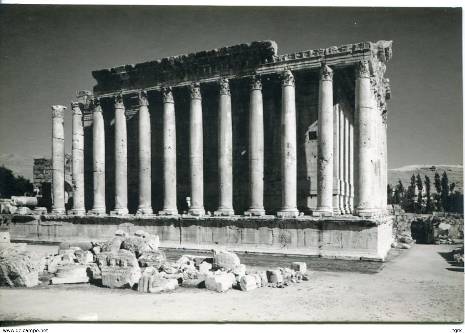 Liban Lebanon  BAALBECK The Temple Of Bacchus   Real Photo  Postcard  Varoujan Setian Beyrouth - Liban