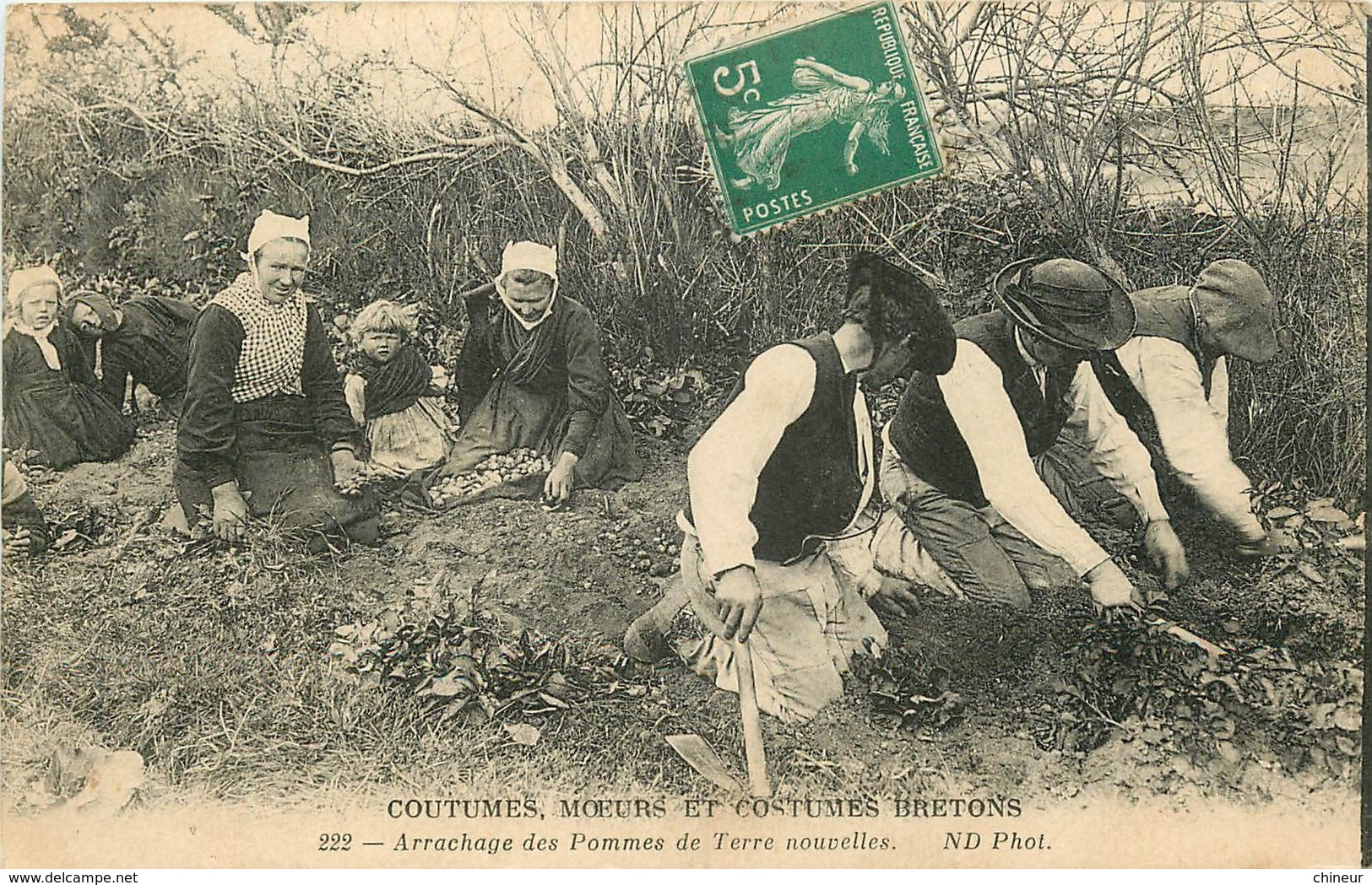 BRETAGNE COUTUMES MOEURS ET COSTUMES ARRACHAGE DES POMMES DE TERRES NOUVELLES - Bretagne