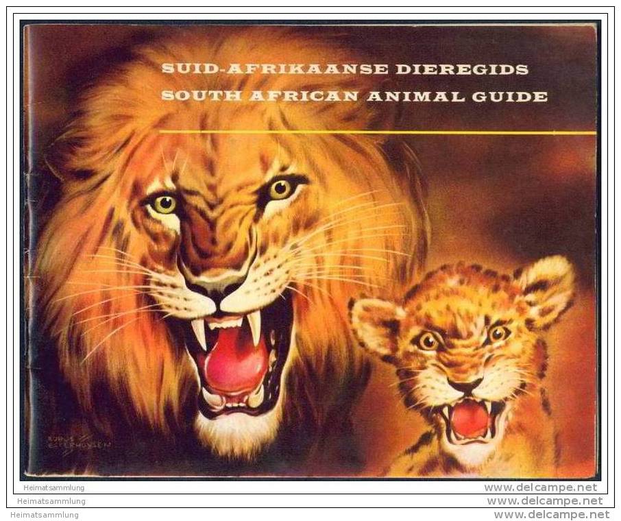 South African Animal Guide Ca. 1950 - Designed By Kobus Esterhuysen - 54 Seiten Mit Unzähligen Tieren - Afrika