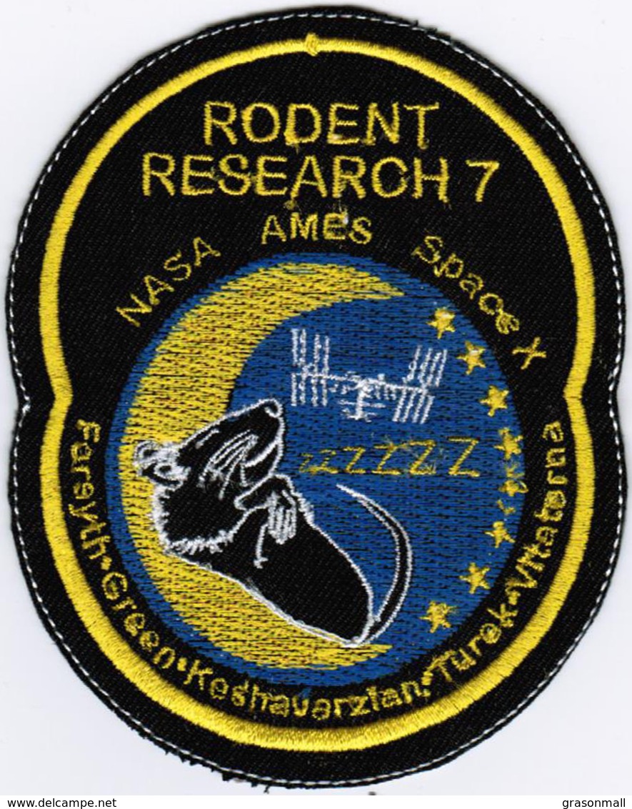 ISS Expedition 56 Dragon SPX-15 Rodent International Space Station Iron On Patch - Patches