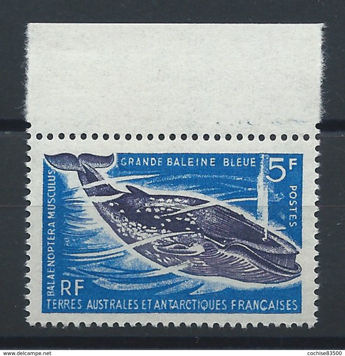 T.A.A.F. N°22** (MNH) 1966 - Grande Baleine Bleue - Neufs