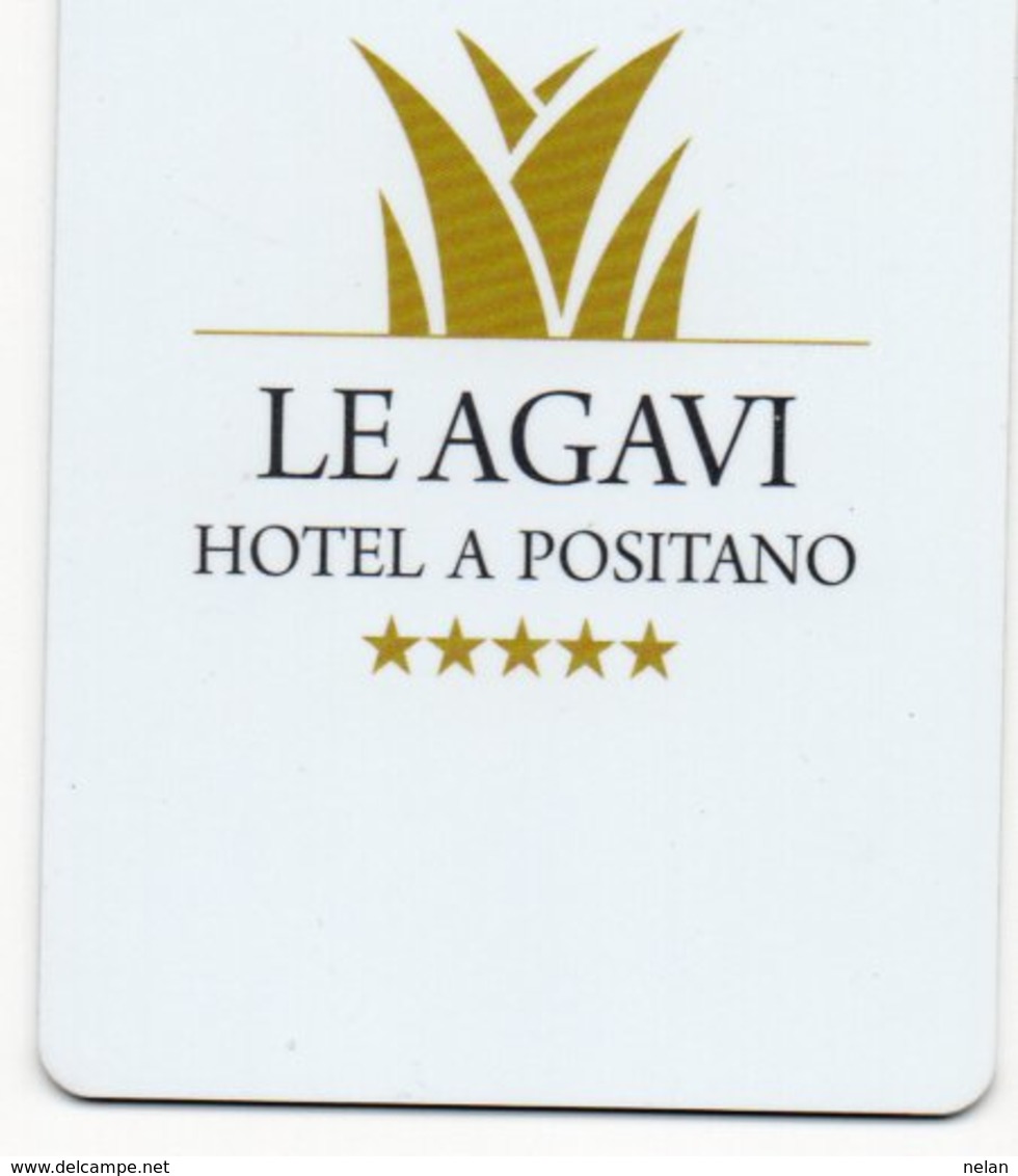 KEY CARD-ITALIA-LE AGAVI-HOTEL A POSITANO - Chiavi Elettroniche Di Alberghi