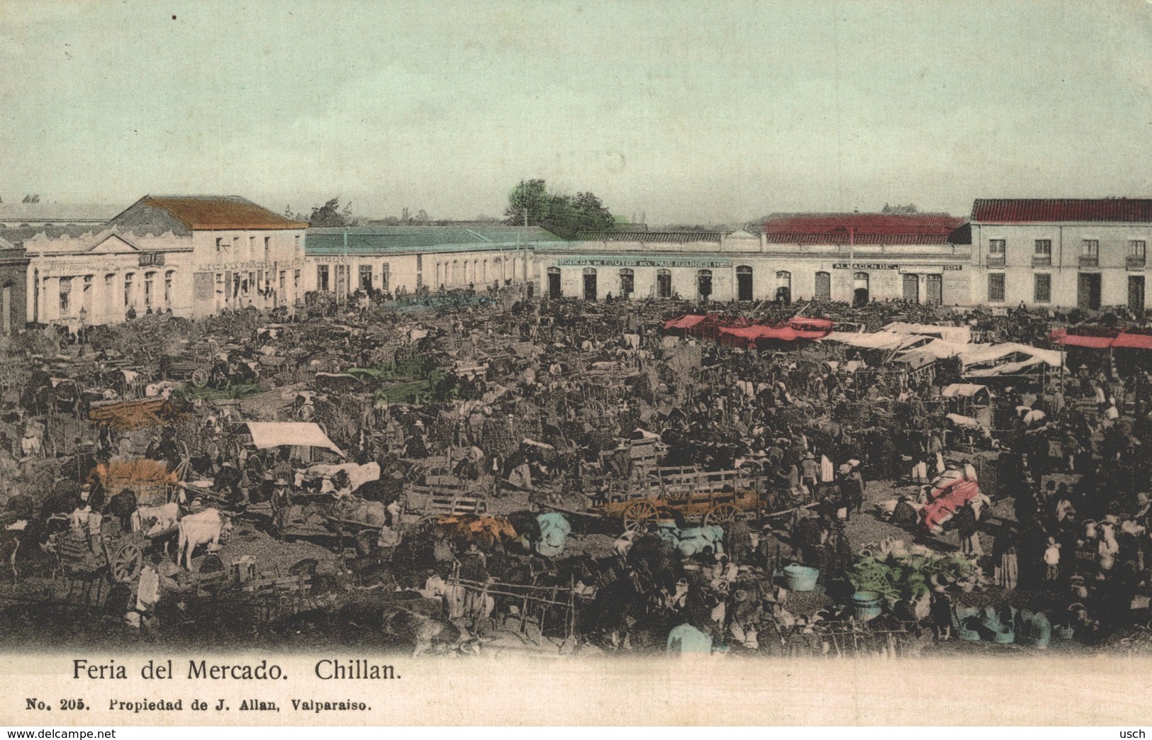 CHILE - CHILI Postcard, CHILLAN, Feria Del Mercado - Chili