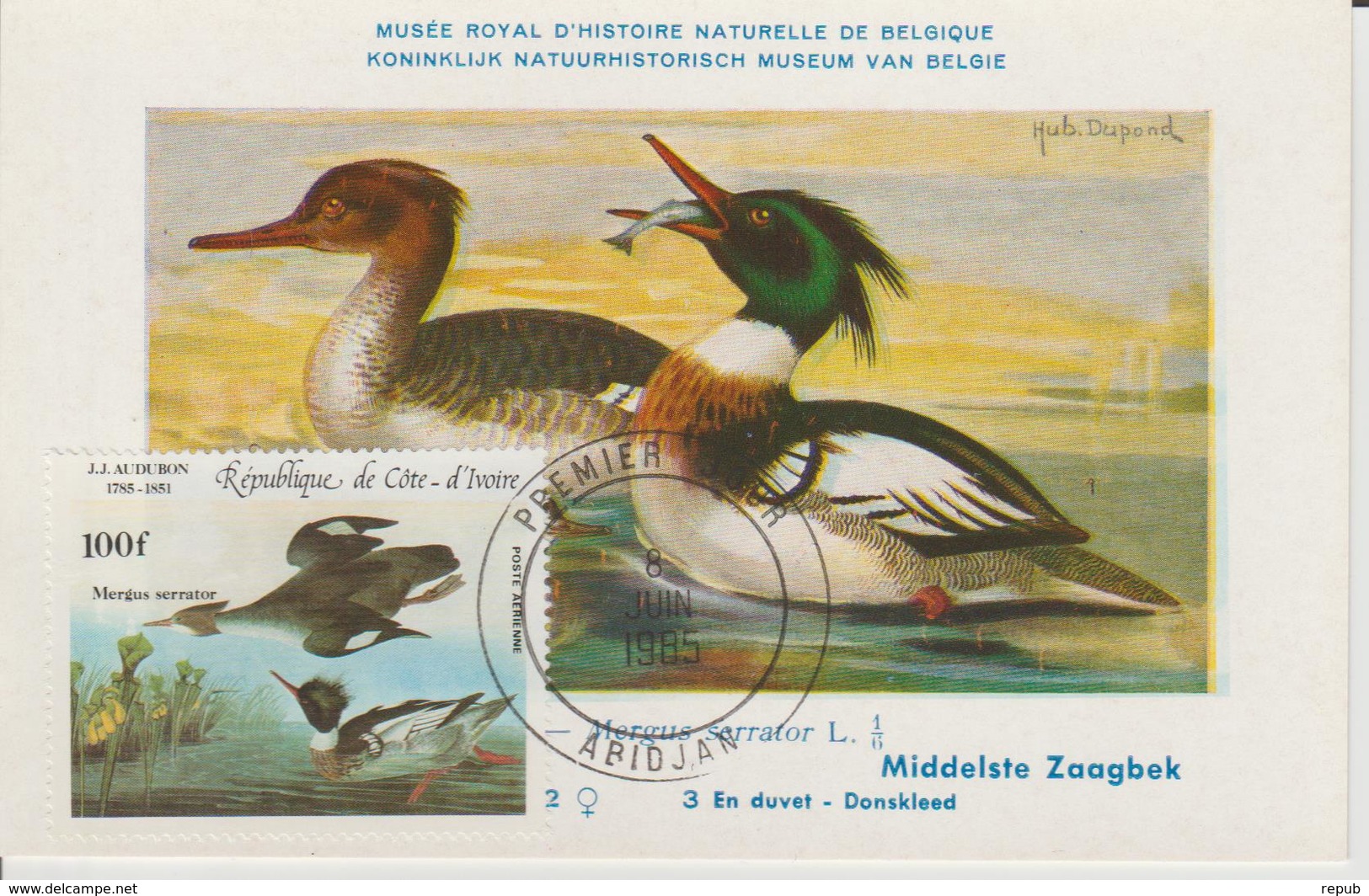 Carte Maximum Oiseaux Cote D'Ivoire PA 97 Harle Huppé - Côte D'Ivoire (1960-...)