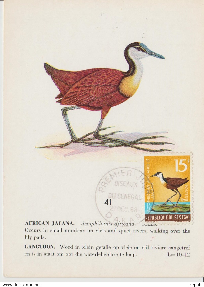 Carte Maximum Oiseaux Sénégal 310 Jacana - Sénégal (1960-...)