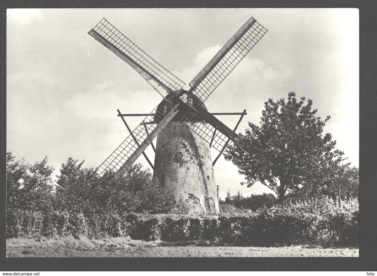 Ertvelde - Stenenmolen - Nieuwstaat - Molen / Mill /moulin - Evergem