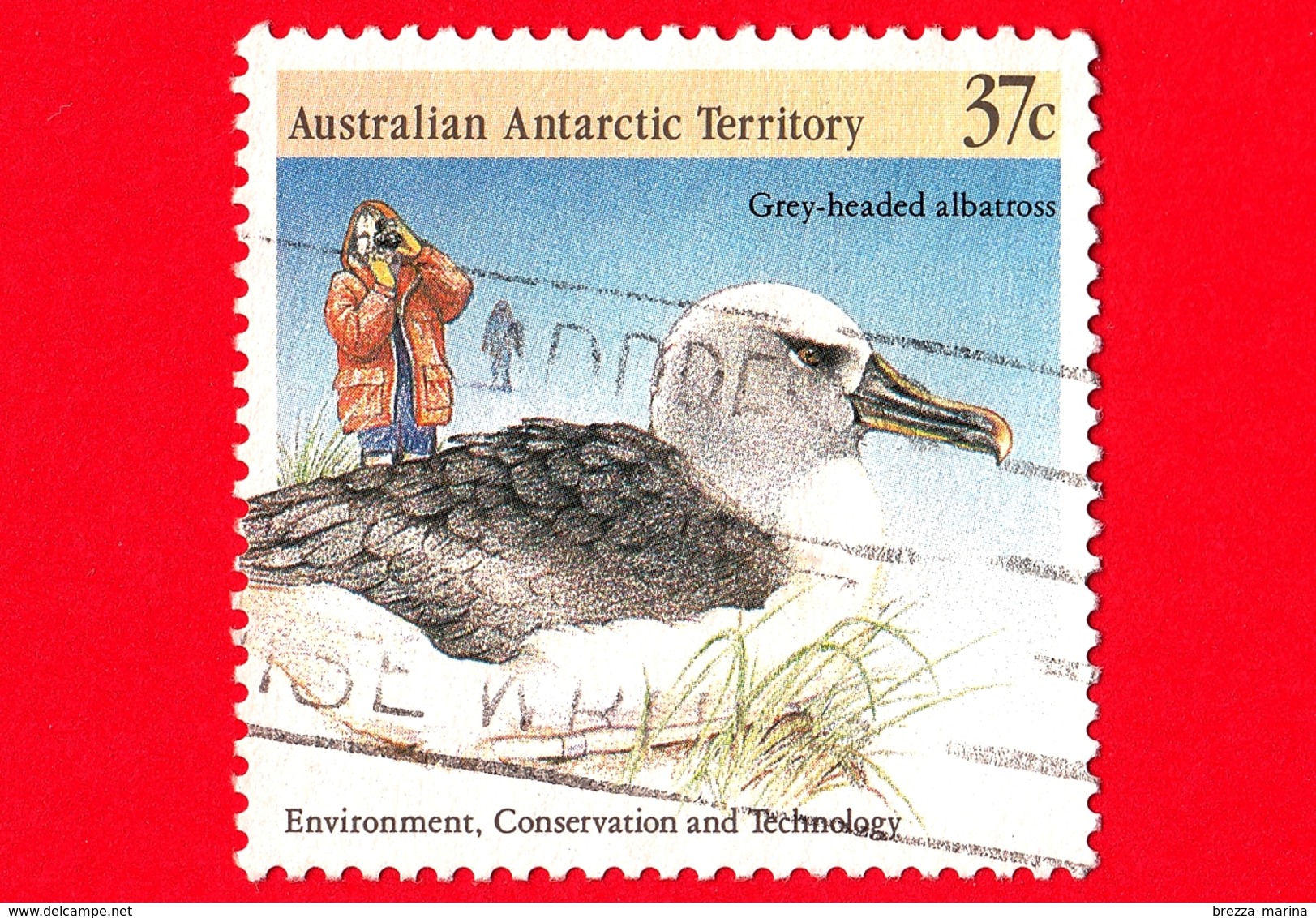 Territorio Antartico Australiano - AAT - Usato - 1988 - Protezione Dell'Ambiente - Albatro  - Grey-headed Albatross - 37 - Usati