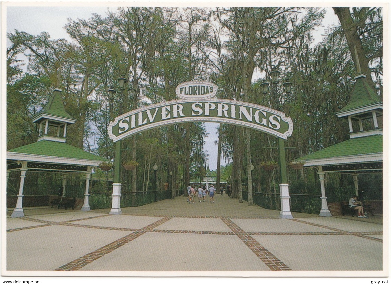 SILVER SPRINGS, Florida, Main Entrance, Unused Postcard [21683] - Silver Springs