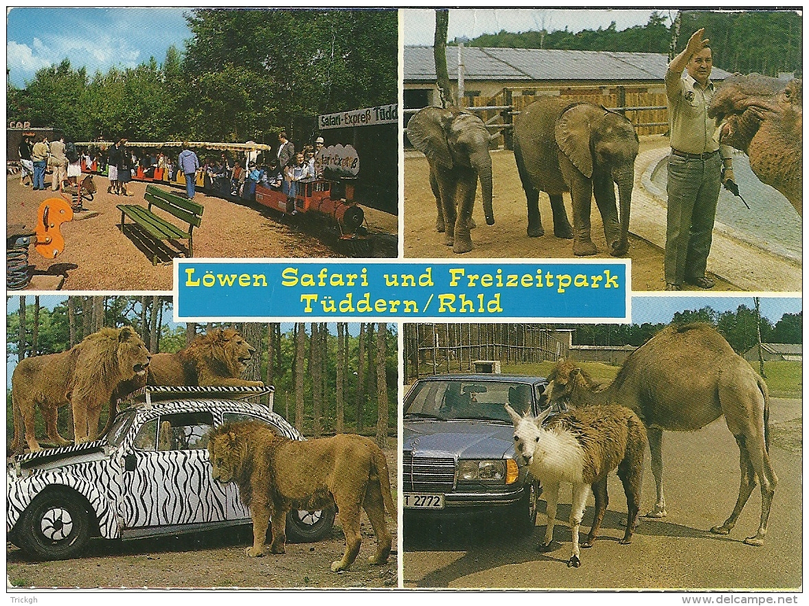Deutschland Tüddern Elephant Olifant Lion Leeuw Lama / Mercedes Volkswagen - Other & Unclassified