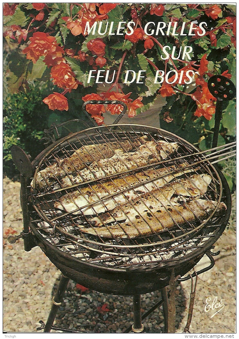 Mules Grillés - Recettes (cuisine)