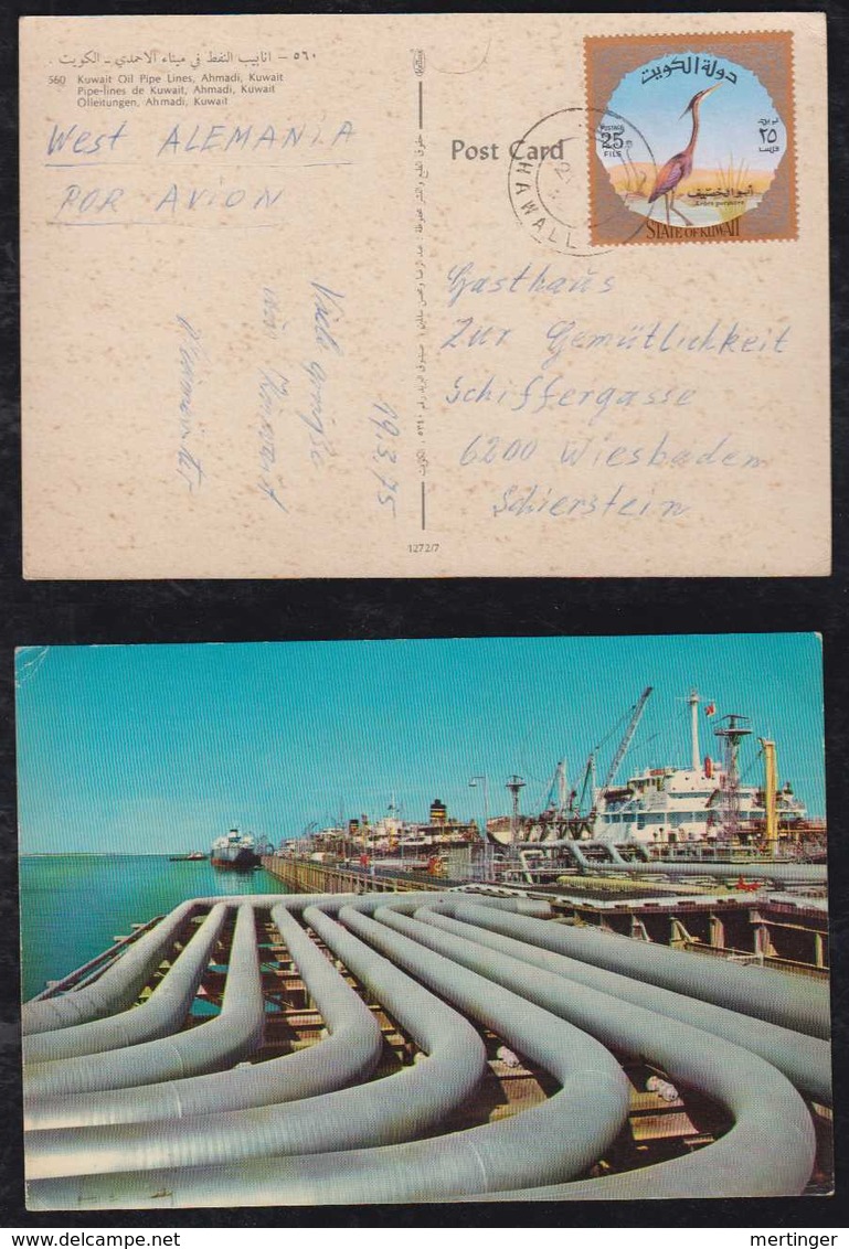 Kuwait 1975 Picture Postcrad Oil Pipeline To Germany Bird Stamp - Koweït