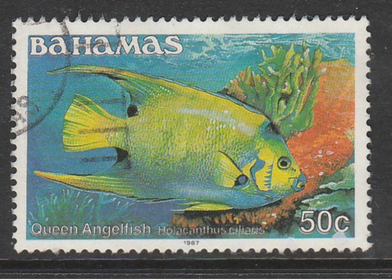 Bahamas 1986 Fish 50c Rose/black SW 628 O Used - Bahamas (1973-...)