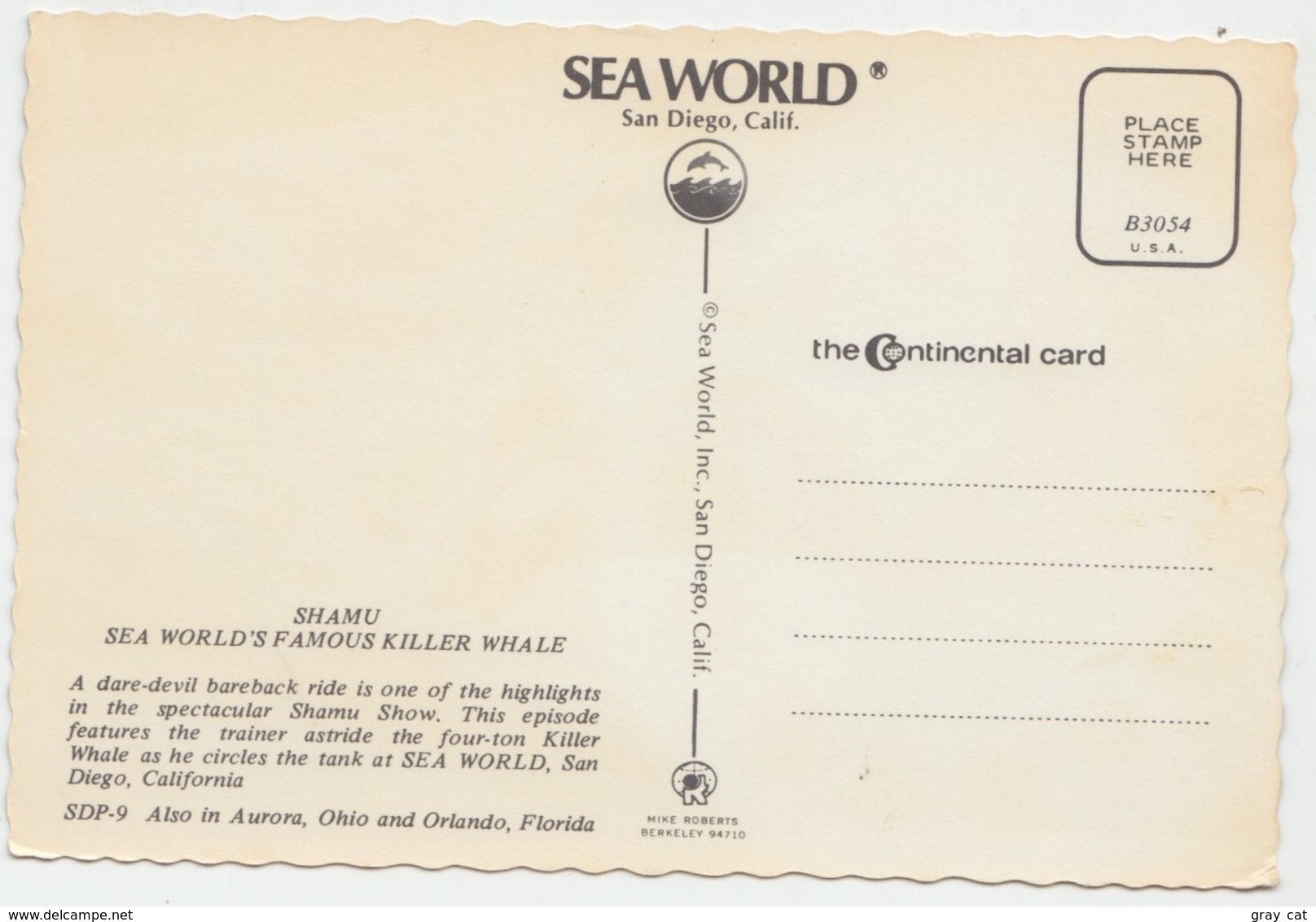 Riding Shamu, The Killer Whale, Sea World, Unused Postcard [21686] - Autres & Non Classés