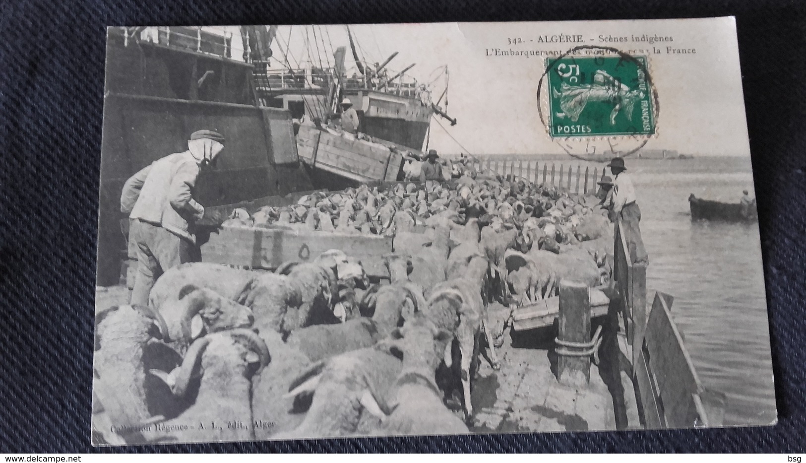 CPA Algérie - Scènes Indigènes Embarquement Des Moutons Pour La France - Scènes & Types