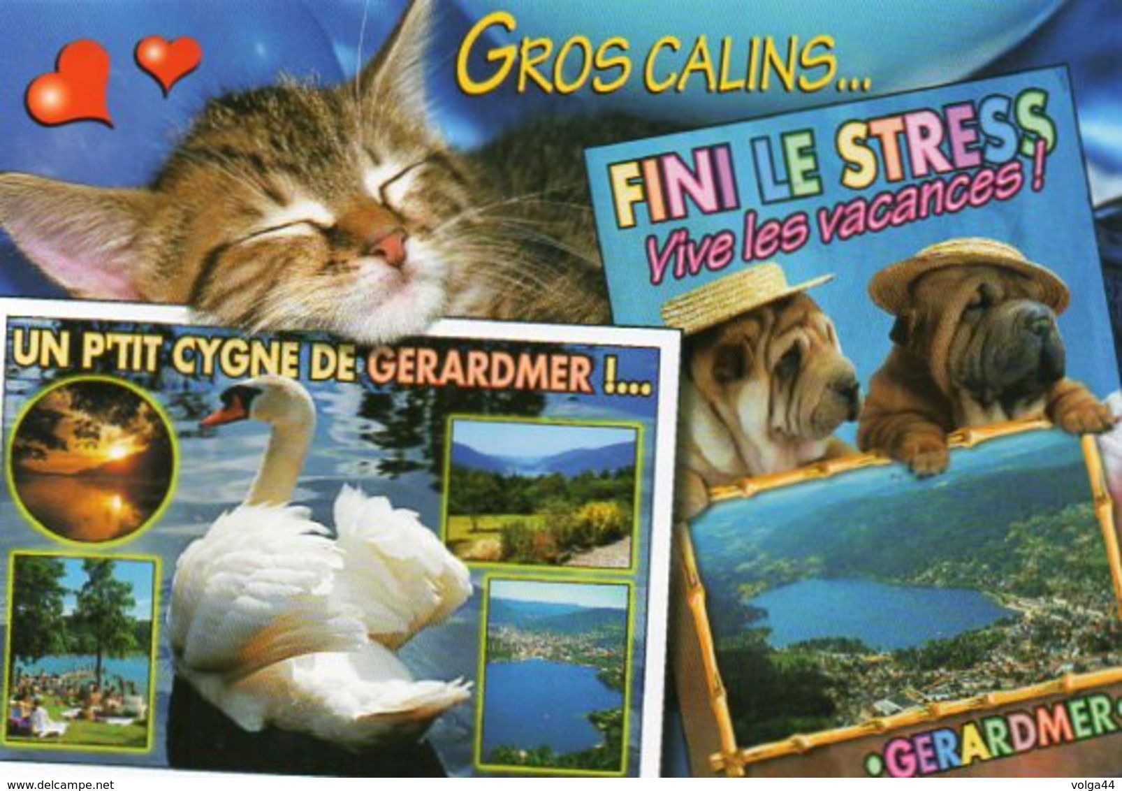 88- Gros Calins De GERARDMER -Chat- - Chats