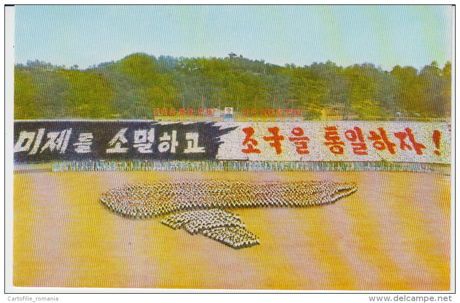 North Korea Pyongyang - Communist Propaganda - Demonstration, Festival, Dancers,  Uncirculated Postcard - Korea, North