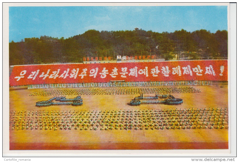 North Korea Pyongyang - Communist Propaganda - Demonstration, Festival, Dancers,  Uncirculated Postcard - Corée Du Nord