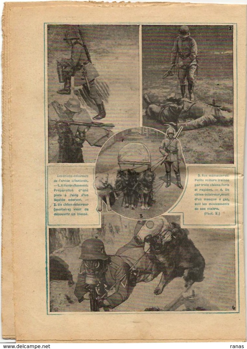 Bizuth Siphon Le Pélerin N° 2672 De 1928 Chiens De Guerre Sanitaire - Other & Unclassified