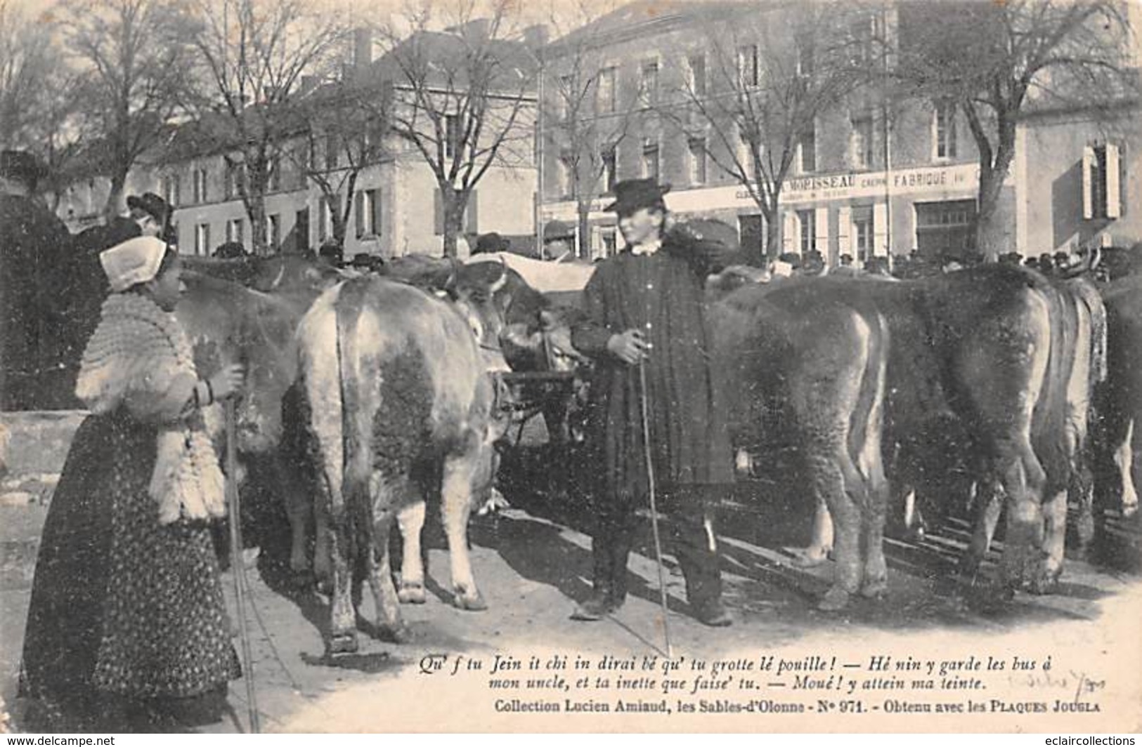La Roche Sur Yon   85  :    Marché Aux Bestiaux- Patois Local    (voir Scan) - La Roche Sur Yon