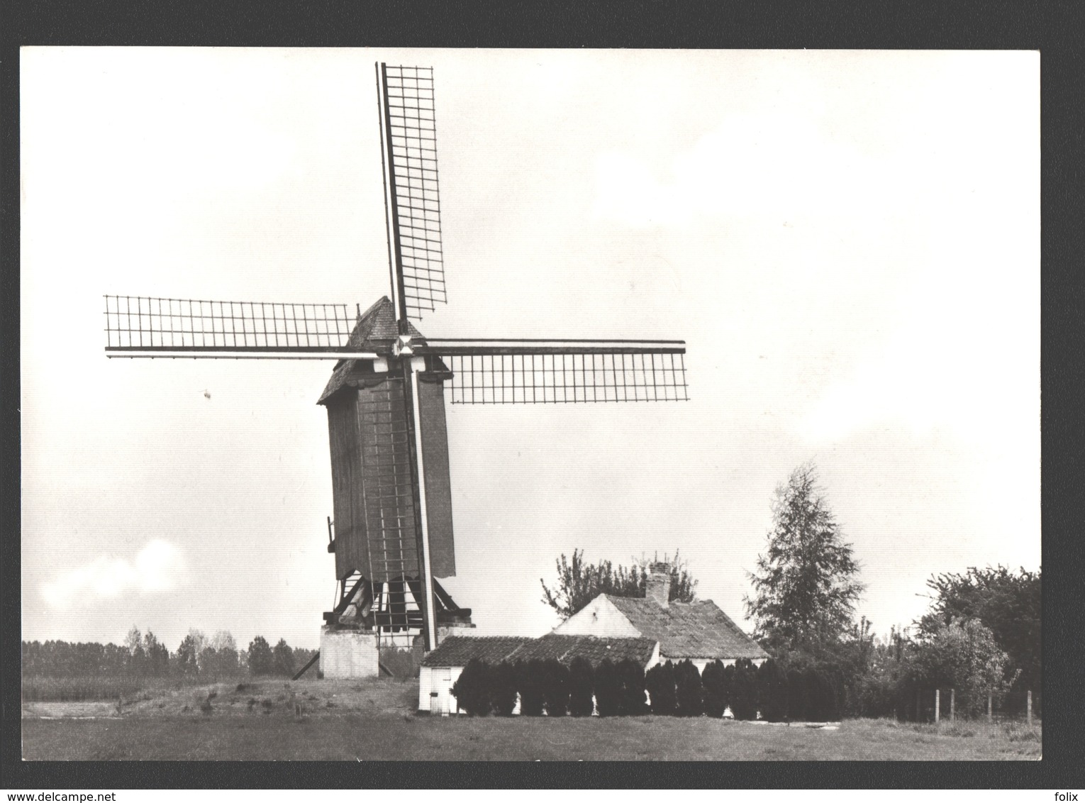 Zingem - Molen 't Dal, Oudste Molen Van België - Nieuwstaat - Fotokaart - Moulin / Mill - Zingem