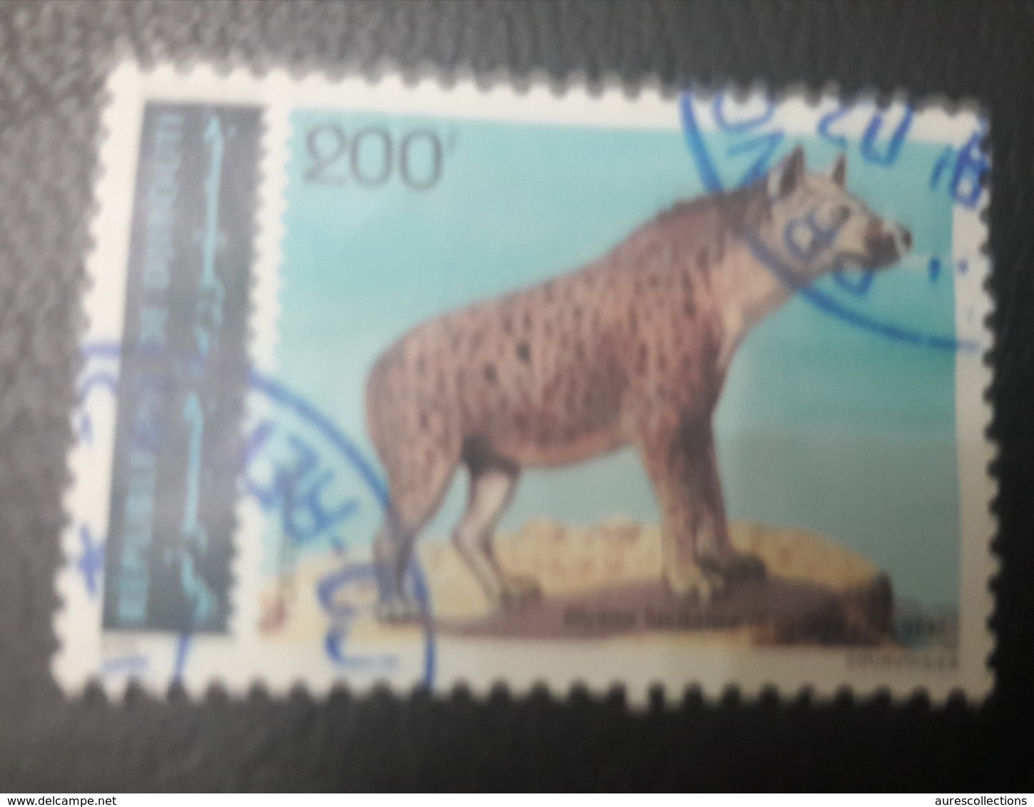 DJIBOUTI 1993 1995 MICHEL 614HYENE TACHETEE HYENA - A LITTLE CUT - UN PEU DECHIRE - USED OBLITERE CANCELED OBL U O RARE - Dschibuti (1977-...)