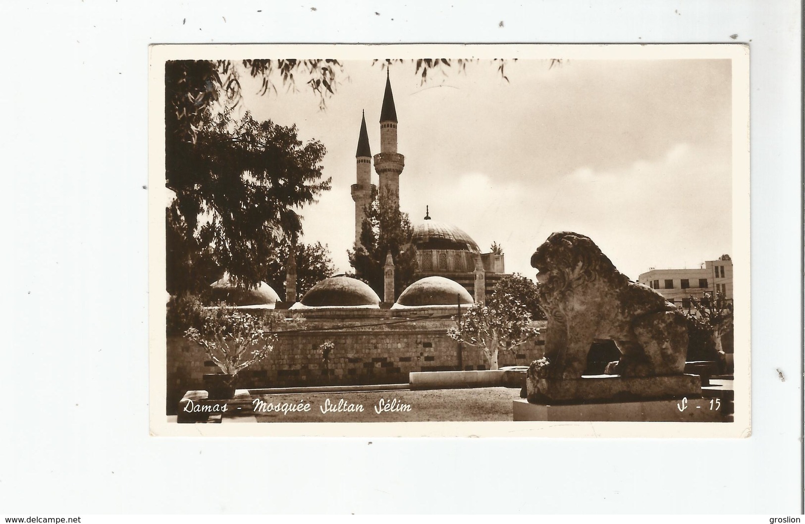 DAMAS 15 MOSQUEE SULTAN SELIM . DAMASCUS SELIM SULTAN MOSQUE - Syrie