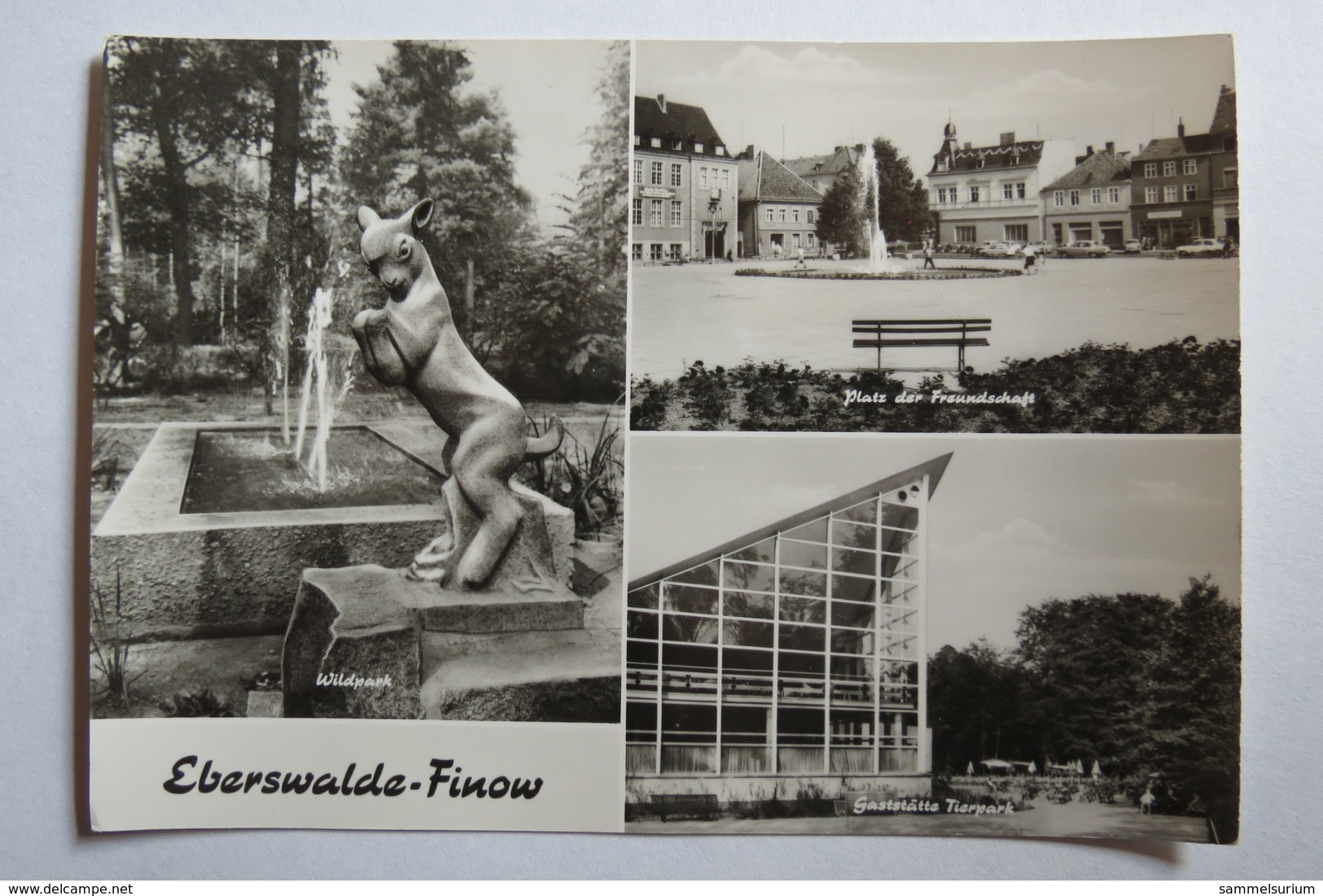(10/3/87) AK "Eberswalde-Finow" Platz Der Freundschaft, Wildpark Und Gaststätte Tierpark - Eberswalde