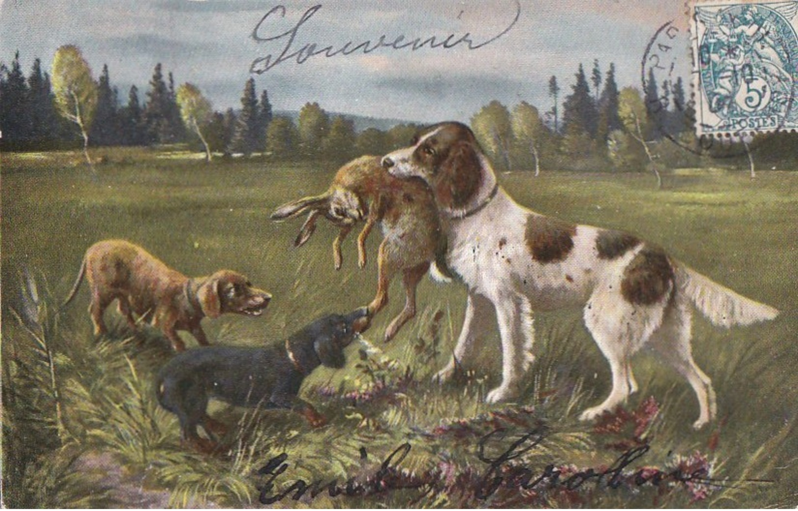 CPA Illustrée  Scène De CHASSE CHIENS La Capture Du LIEVRE Timbre 1904 - Jagd