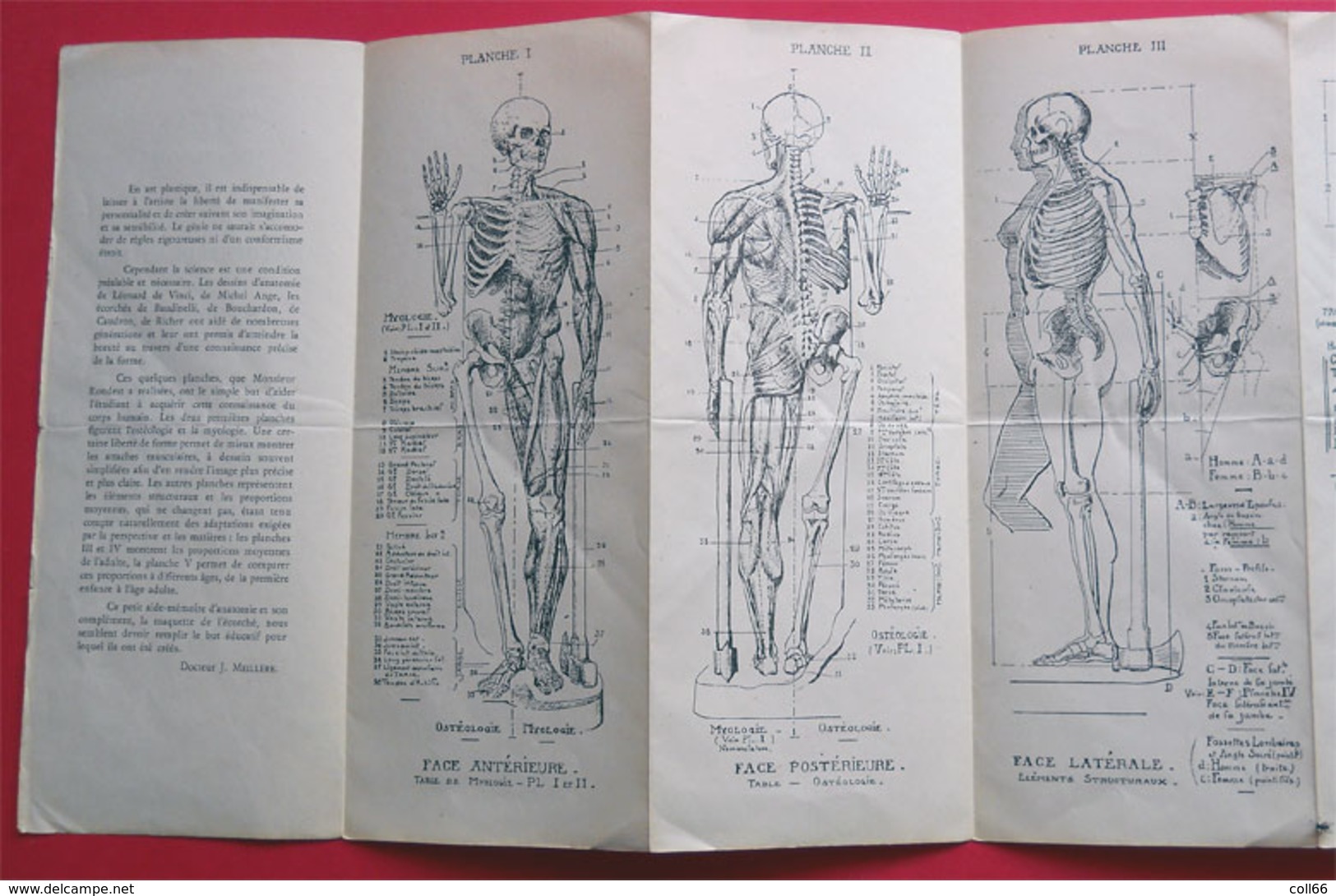 Atlas Anatomie Plastique Par Rondest Sculpteur & Dr Meillère Chirurgien Paris édit Henri Laurens Paris - Cartes/Atlas