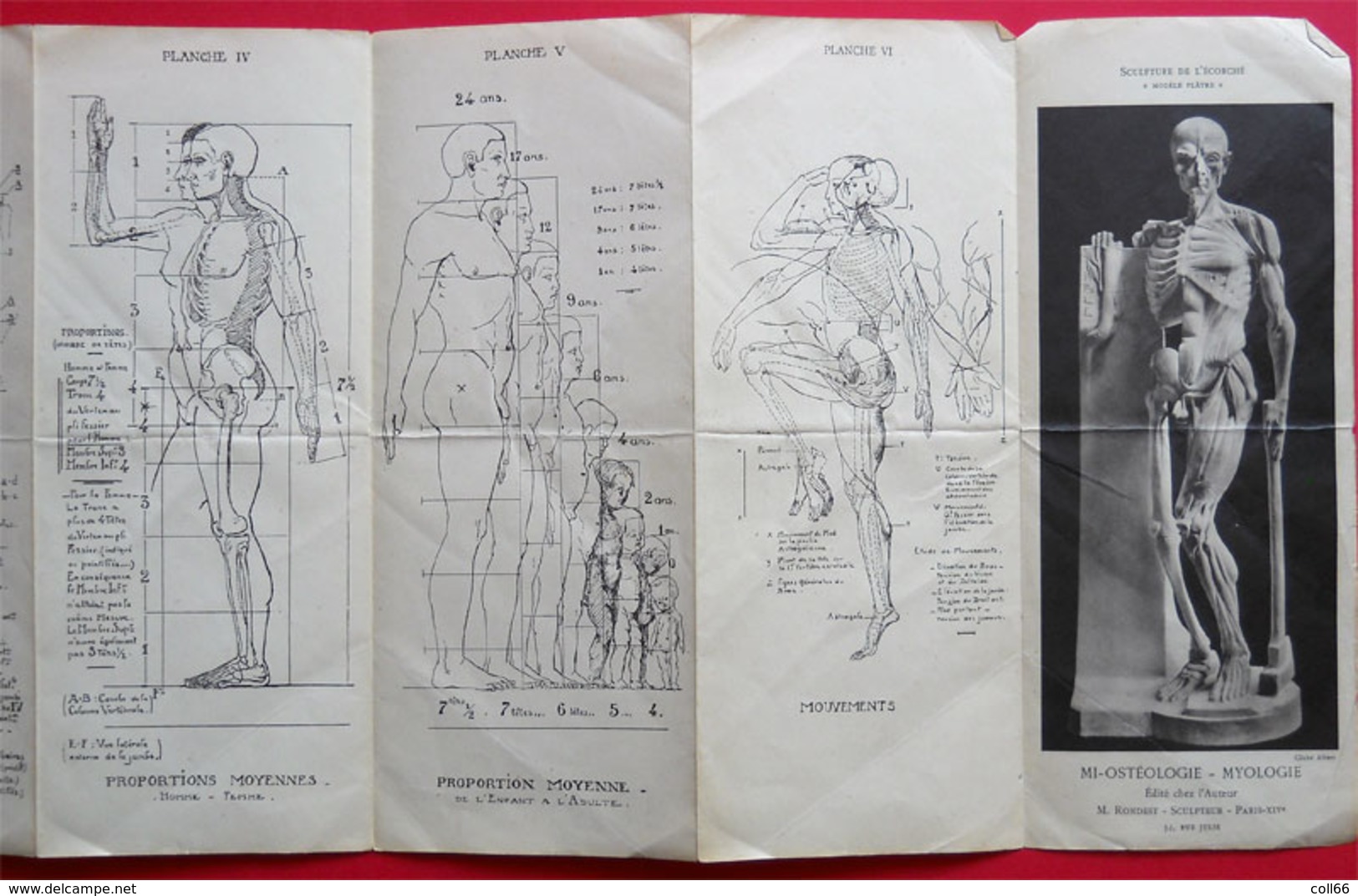 Atlas Anatomie Plastique Par Rondest Sculpteur & Dr Meillère Chirurgien Paris édit Henri Laurens Paris - Maps/Atlas