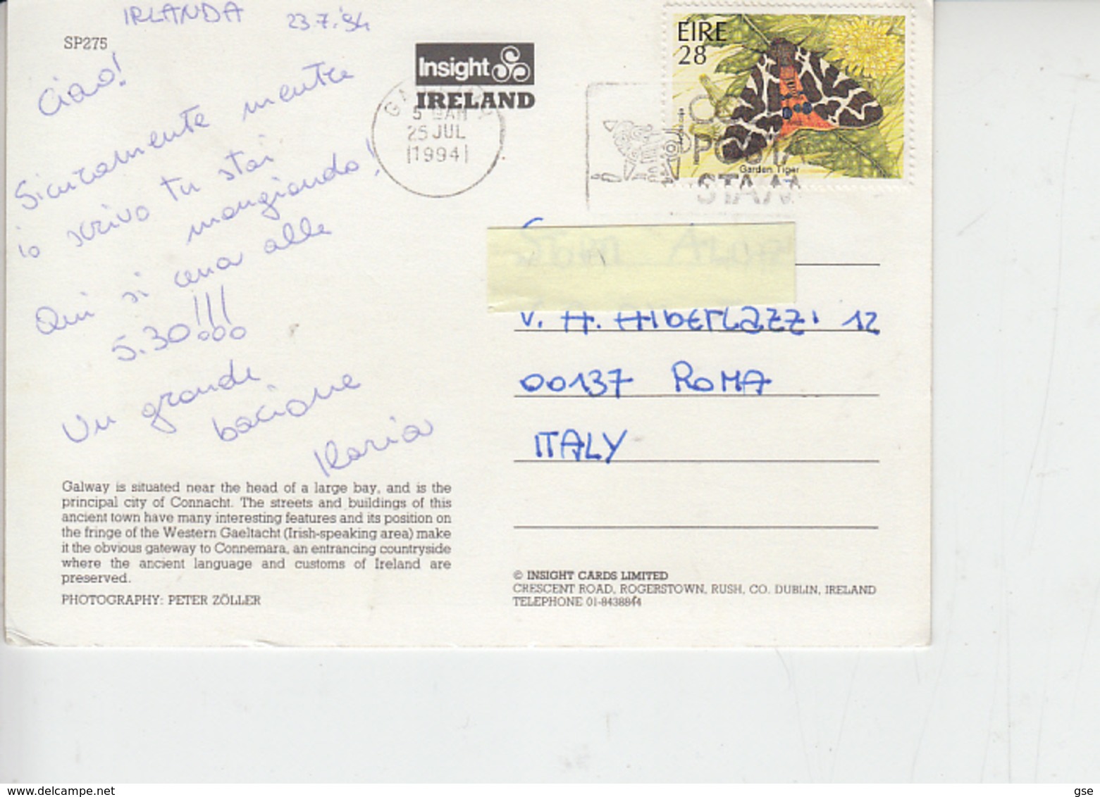 IRLANDA  1994 - Unificato 864 - Farfalla - Cartas & Documentos