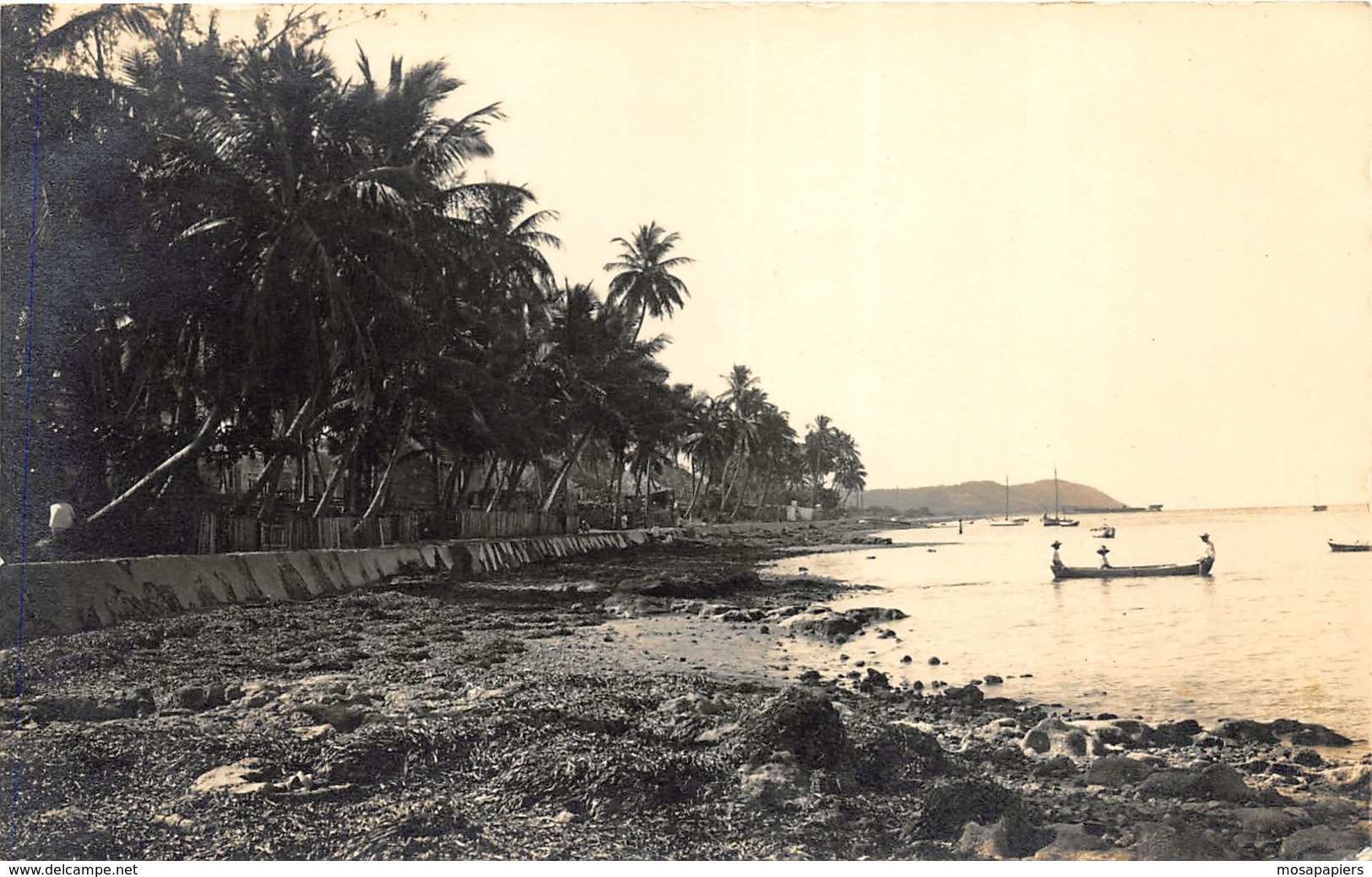 Mexico - Old Photo-Card - Campeche - Hugo Brehme N° 51 - México