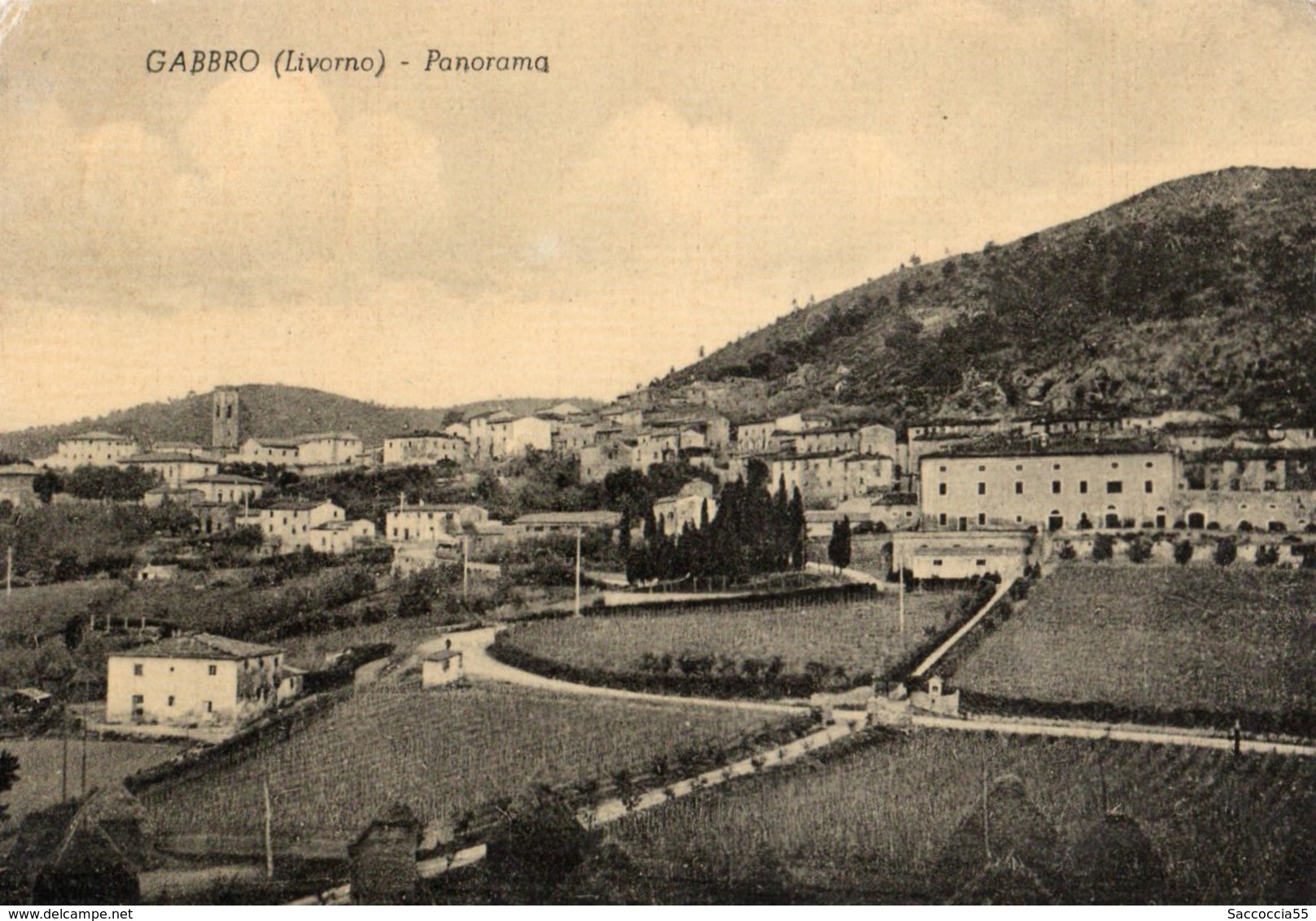 GABBRO LIVORNO SCORCIO PANORAMICO - Catanzaro