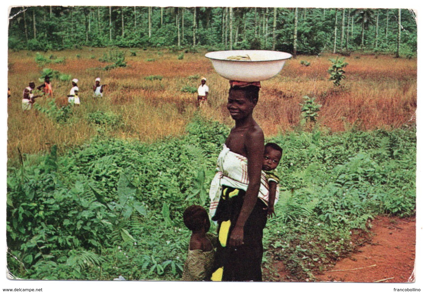 SIERRA LEONE - MOTHER AND CHILDS / RICE HARVESTING / RED METER/EMA FREETOWN 1968 - Sierra Leone