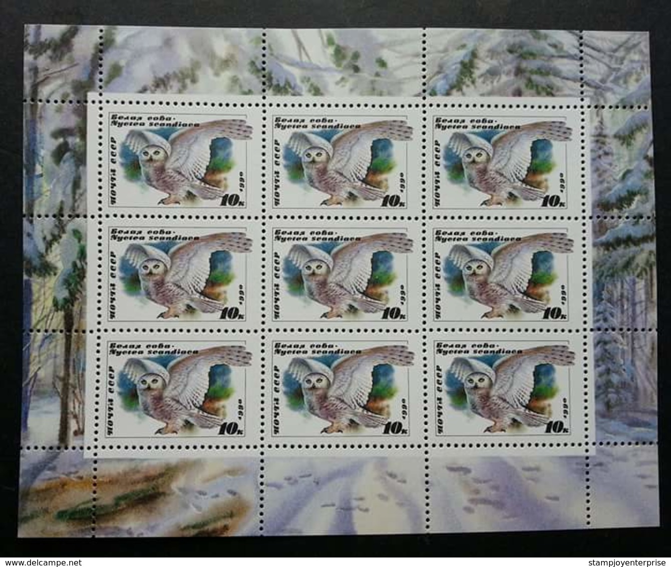 Russia Owls 1990 Bird Of Prey Birds Owl (sheetlet) MNH - Unused Stamps