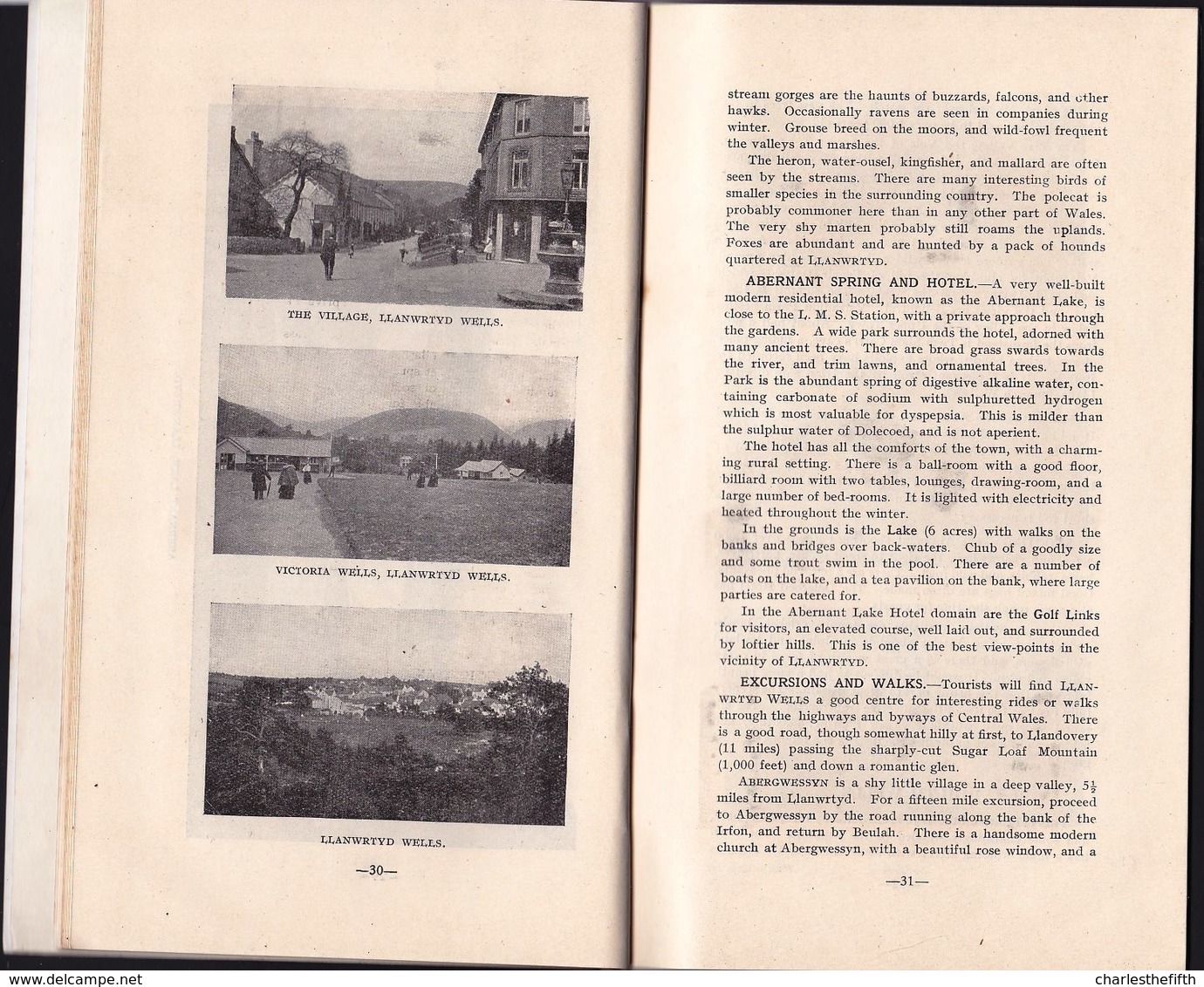 AROUND 1915 - ILLUSTRATED TRAVELER GUIDE CENTRAL WALES - SPAS AND HOLIDAY RESORTS - 56  Pages And Map - Andere & Zonder Classificatie