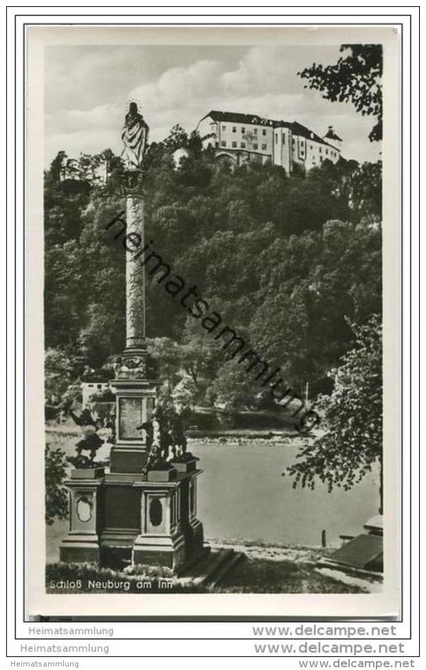 Neuburg Am Inn - Schloss - Foto-AK 50er Jahre - Neuburg