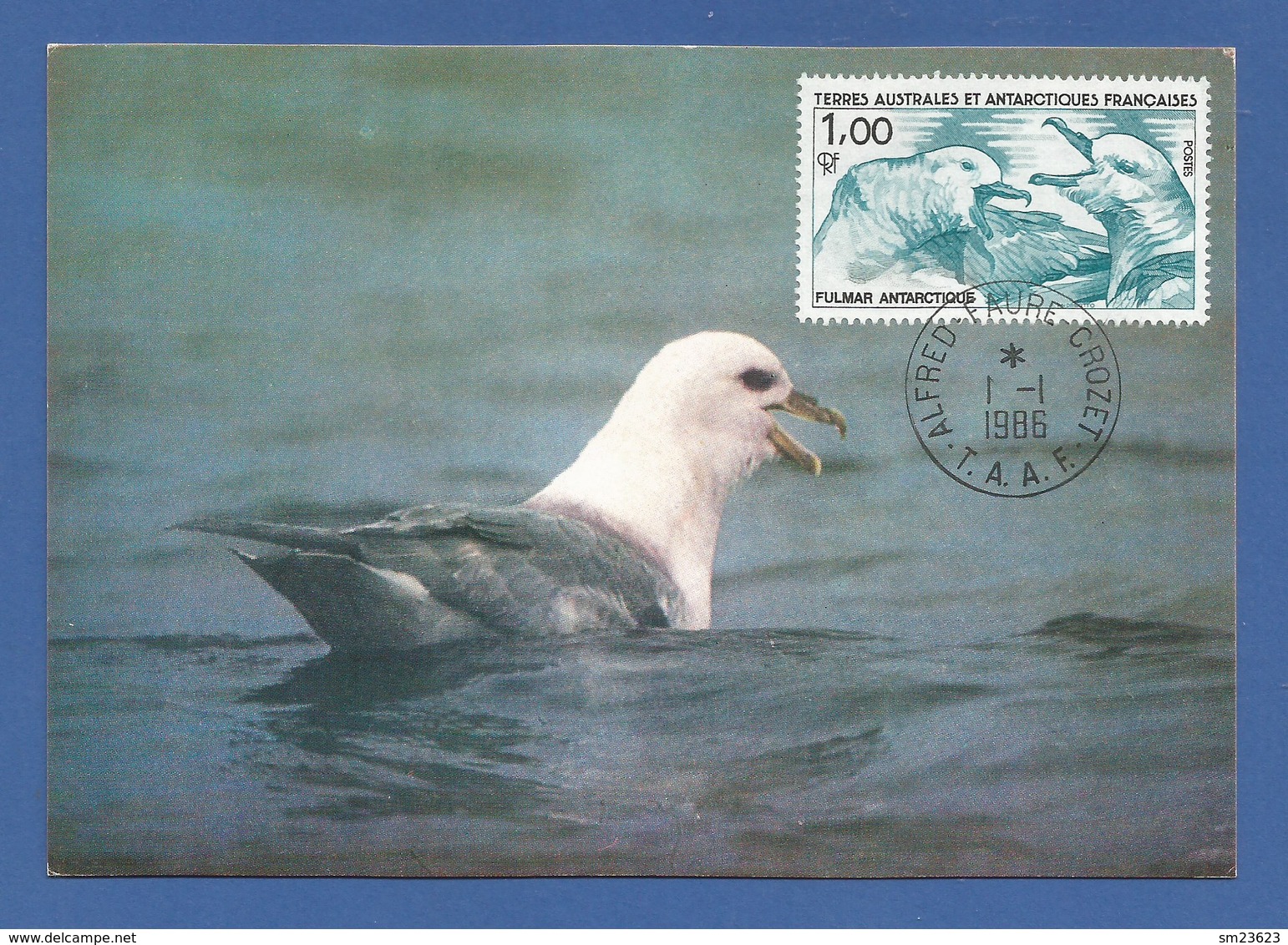 Frankreich / Kolonien / TAAF 1986  Mi.Nr. 208 , Antarktischer Eissturmvogel - Maximum Card - 1. Jan. 1986 - Used Stamps