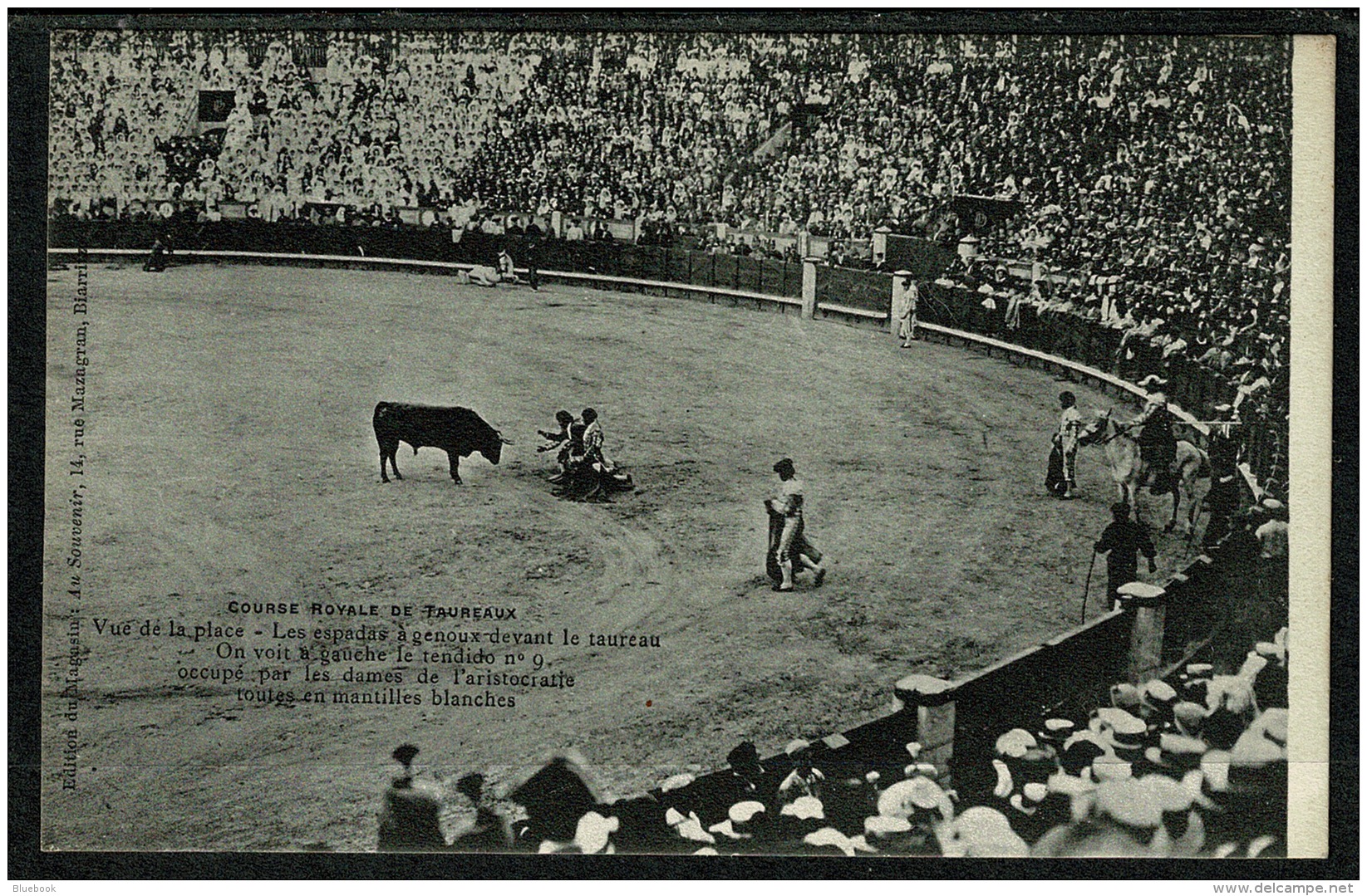 RB 1216 -  Early Postcard - Bull Fighting Course Royale DeTaureaux Spain France - Other & Unclassified