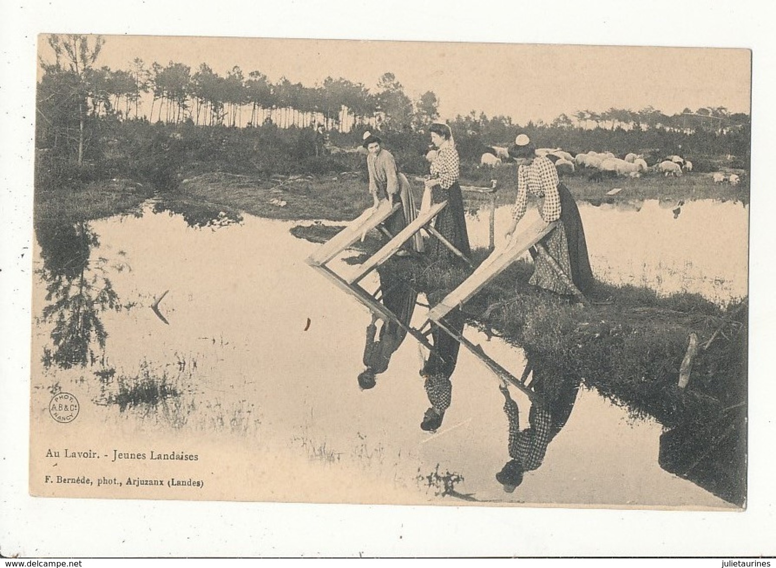 LANDES AU LAVOIR JEUNES LANDAISES CPA BON ETAT - Autres & Non Classés